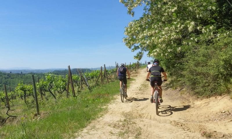 Escursione in bicicletta in campagna toscana