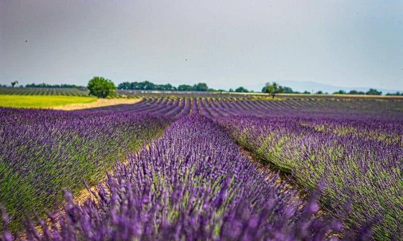 Verdon landscape, France