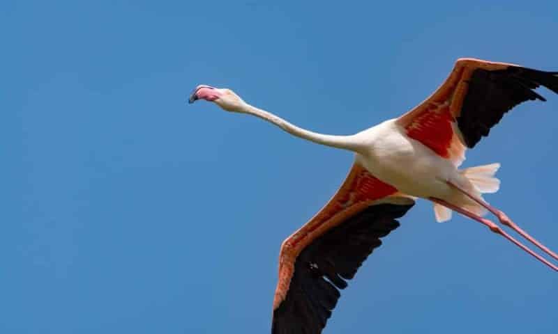 SecreTrip: a different kind of event planning