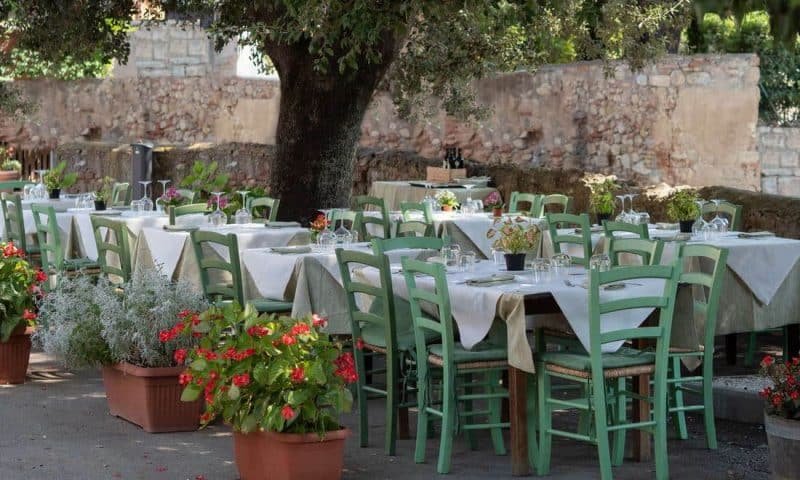 Empty Tables Set for Outdoor Lunch under an Olive Tree in a Tuscan Village in Italy.
