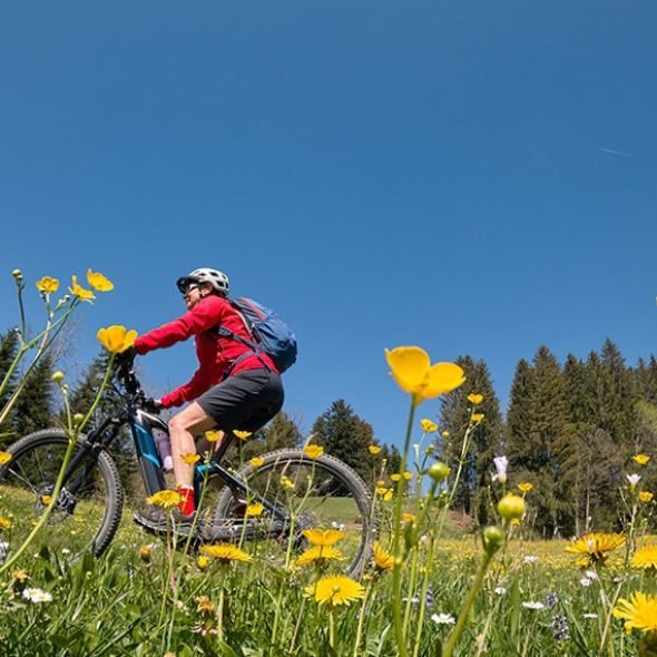 secretrip-velo-electrique-06