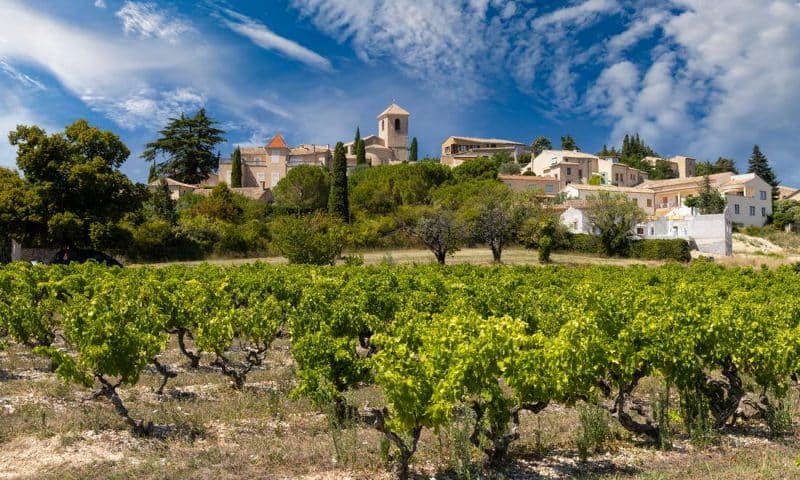 Typical vineyard near Vinsobres, Cotes du Rhone, France