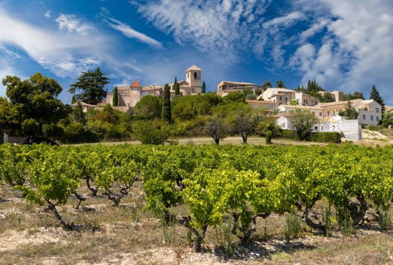 Typical vineyard near Vinsobres, Cotes du Rhone, France