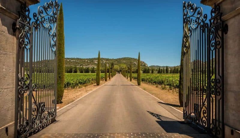 Property entrance gate, driveway, vineyards, cypresses and hills. Summer South Europe countryside landscape.