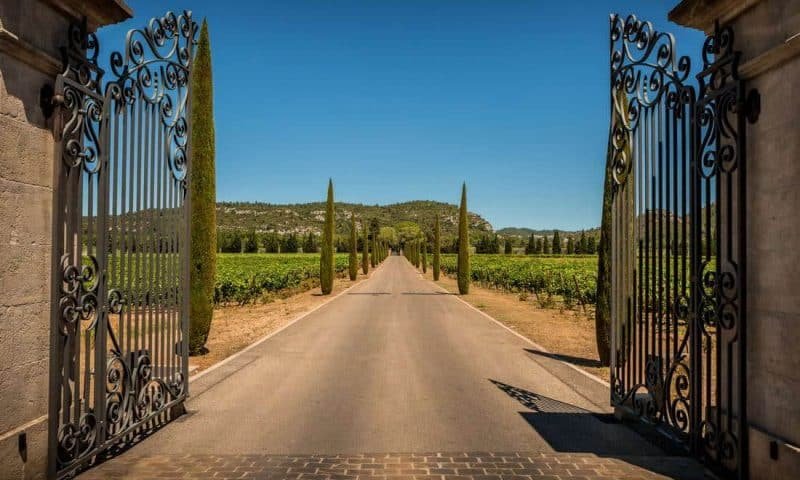 Property entrance gate, driveway, vineyards, cypresses and hills. Summer South Europe countryside landscape.