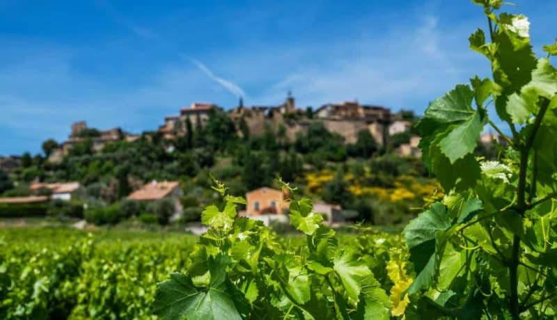 Vineyards with grapevine and winery along wine road. Village, vineyards and countryside landscape in Gordes, Vaucluse, Provence, France, Europe. Famous Cotes du Rhone Tourist Route.