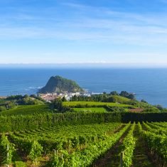 Incentive Wine & Sea Tour Côte d'Azur
